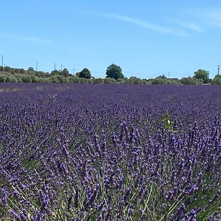 Gite Cocotte Luberon, Forcalquier Pierrerue  Exteriör bild