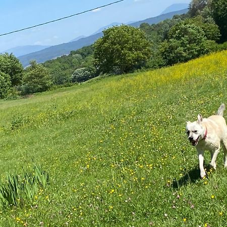 Gite Cocotte Luberon, Forcalquier Pierrerue  Exteriör bild