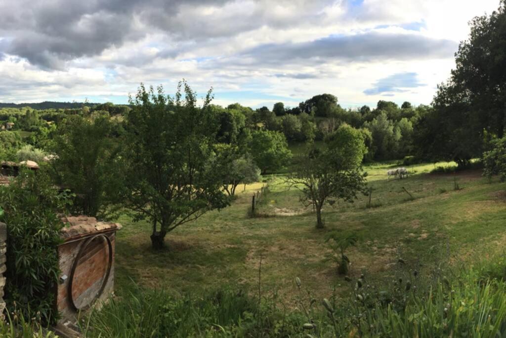 Gite Cocotte Luberon, Forcalquier Pierrerue  Exteriör bild