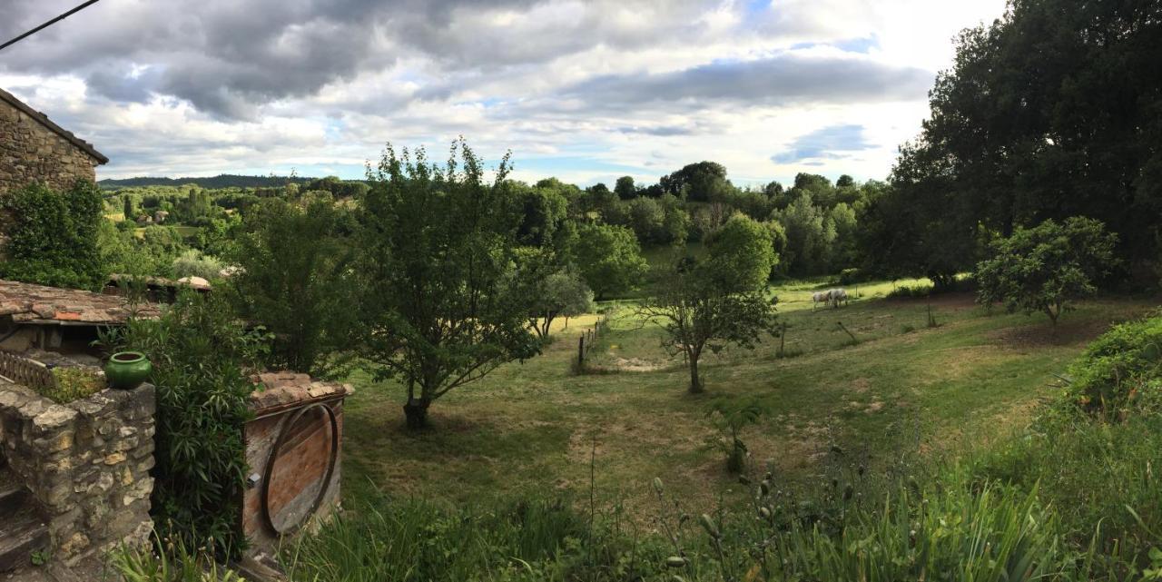 Gite Cocotte Luberon, Forcalquier Pierrerue  Exteriör bild